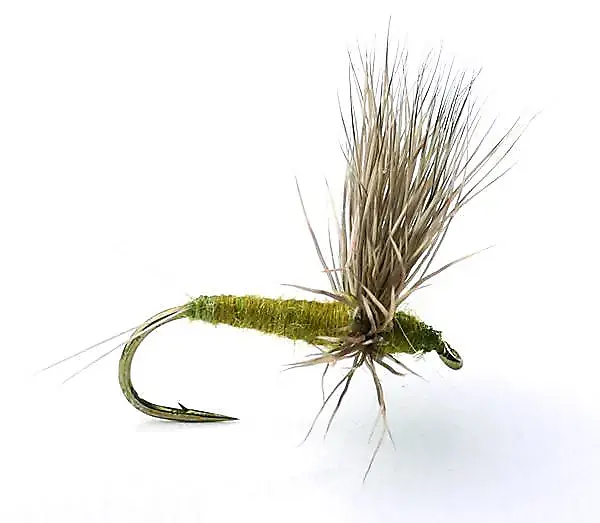 Umpqua Flies Comparadun BWO #14Kjøp 12 Fluer Få Gratis Flueboks 3 Umpqua Flies Comparadun BWO #14Kjøp 12 Fluer Få Gratis Flueboks