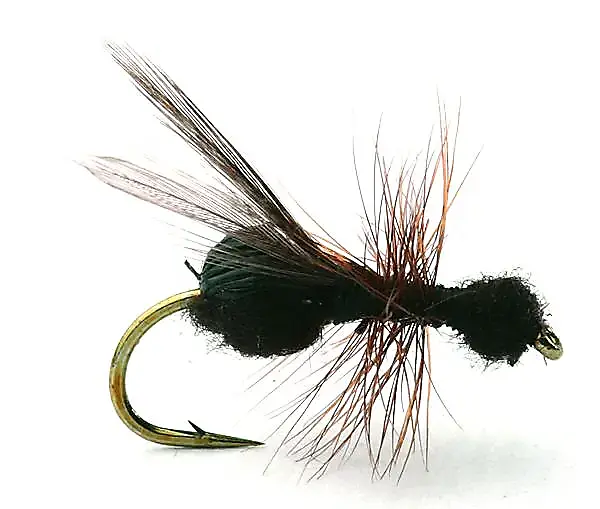 Umpqua Flies Flying Ant Black #14Kjøp 12 Fluer Få Gratis Flueboks 3 Umpqua Flies Flying Ant Black #14Kjøp 12 Fluer Få Gratis Flueboks