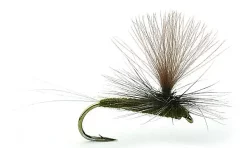 Umpqua Flies Baetis Dark Olive #18Kjøp 12 Fluer Få Gratis Flueboks