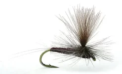 Umpqua Flies Vespertina #16Kjøp 12 Fluer Få Gratis Flueboks