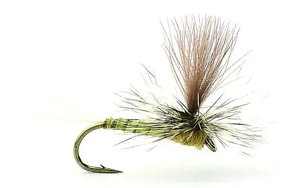 Umpqua Flies Biot Dun Aurivilli #12Kjøp 12 Fluer Få Gratis Flueboks 3 Umpqua Flies Biot Dun Aurivilli #12Kjøp 12 Fluer Få Gratis Flueboks