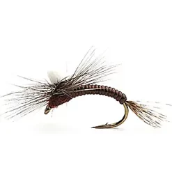 Umpqua Flies Leptoklekker #14Kjøp 12 Fluer Få Gratis Flueboks