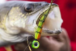 VMC Moontail Jigs Bullhead 10,5gJigghoder Utstyrt Med Bucktail Og Flash 13 VMC Moontail Jigs Bullhead 10,5gJigghoder Utstyrt Med Bucktail Og Flash -Flugor Butik al linder 30a0214.640 2