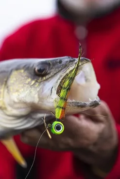 VMC Moontail Jigs Pink Fire UV 10,5gJigghoder Utstyrt Med Bucktail Og Flash 13 VMC Moontail Jigs Pink Fire UV 10,5gJigghoder Utstyrt Med Bucktail Og Flash -Flugor Butik al linder 30a0231.640