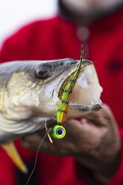 VMC Moontail Jigs Pink Fire UV 10,5gJigghoder Utstyrt Med Bucktail Og Flash 8 VMC Moontail Jigs Pink Fire UV 10,5gJigghoder Utstyrt Med Bucktail Og Flash - Bild 6