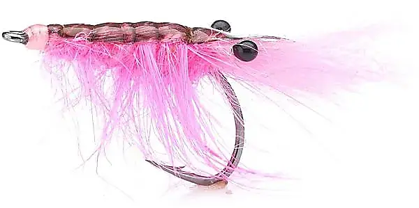 Unique Flies John Shrimp Hot Pink # 4Kjøp 12 Fluer Få Gratis Flueboks 3 Unique Flies John Shrimp Hot Pink # 4Kjøp 12 Fluer Få Gratis Flueboks