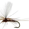 Unique Flies Marginata Dun Biot Brown #14TMC100