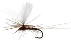 Unique Flies Marginata Dun Biot Brown #14TMC100