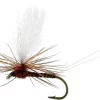 Unique Flies Marginata Dun Quill Brown #12TMC100