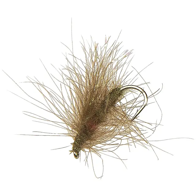 Umpqua Flies CDC Caddis Oliven #12Kjøp 12 Fluer Få Gratis Flueboks 3 Umpqua Flies CDC Caddis Oliven #12Kjøp 12 Fluer Få Gratis Flueboks