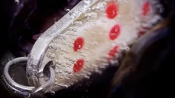 SOLVKROKEN Sølvkroken Spesial Classic Norge 10gKjøp 8 Sluker Få En Gratis Slukboks -Flugor Butik spesial classic under vann 696x392.640