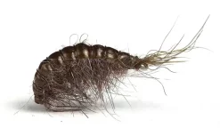 Guideline Scud #12 Olive & GreyKjøp 12 Fluer Få Gratis Flueboks