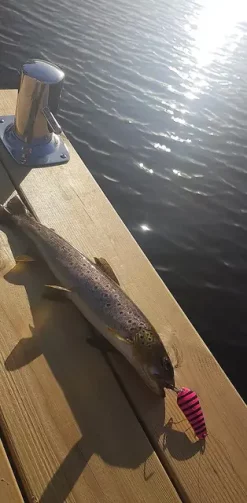 Tasmanian Devil Tasmanian D Spoon 12,5g Pink Panther